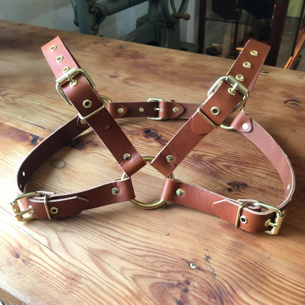A custom harness in brown leather and brass hardware